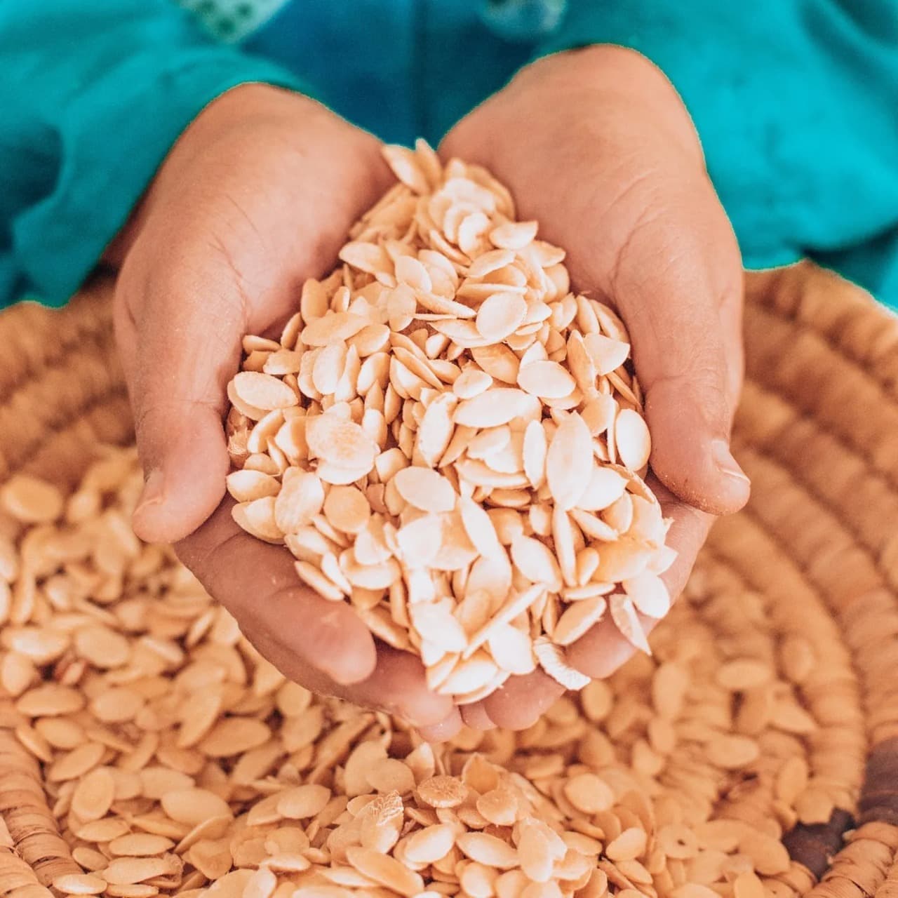 Where to Buy Argan Oil in Morocco: The Complete Guide 2026
