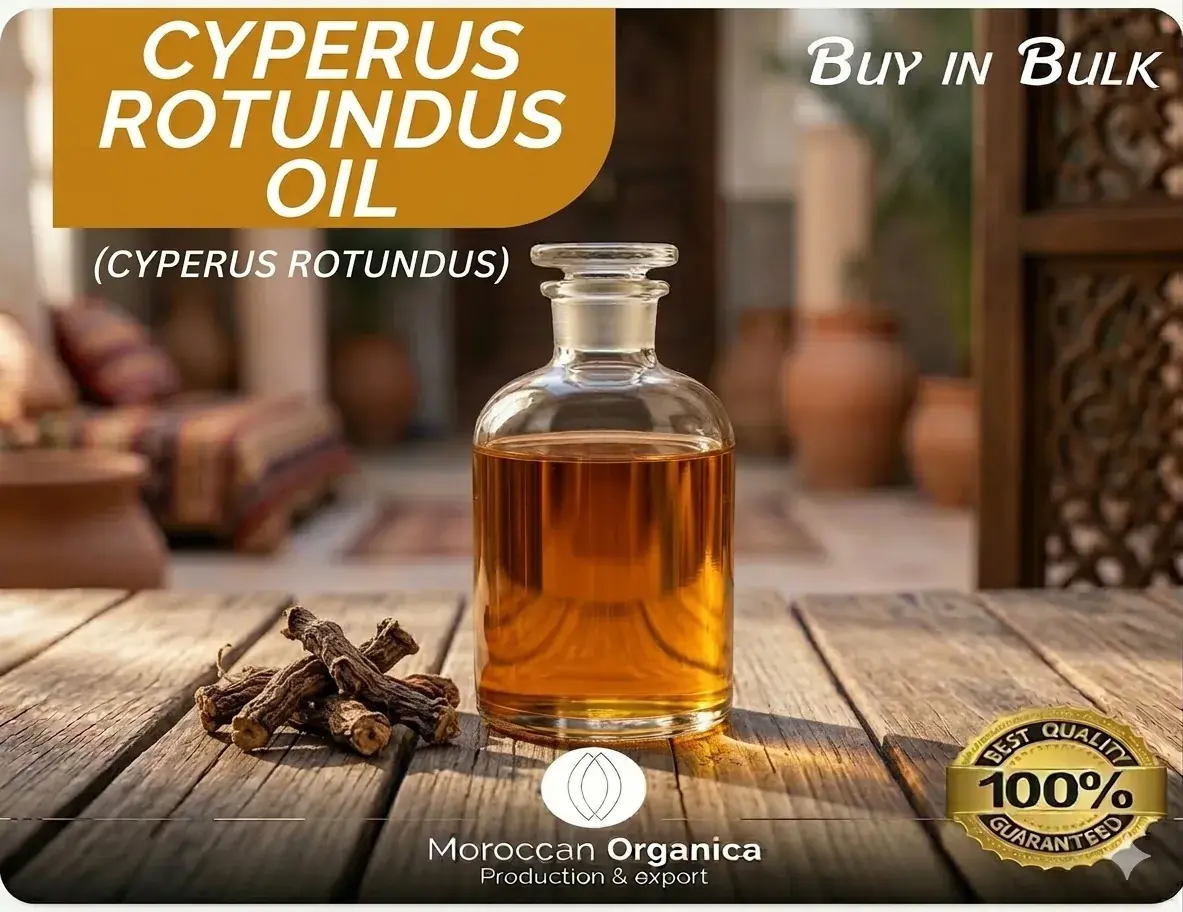 Cyperus rotundus oil morocco